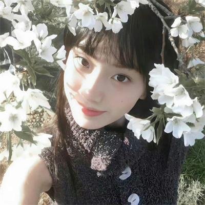 我的小可爱